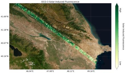 This image shows preliminary solar-induced fluorescence (SIF) measurements from OCO-3 over western Asia.