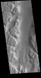 This image from NASA's Mars Odyssey shows a portion of Kasei Valles. In the region of this image Kasei Valles is flowing northward from Vallis Marineris.
