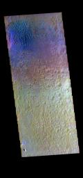 This image from NASA's Mars Odyssey shows sand dunes on the floor of Hale Crater, located north of Argyre Planitia.