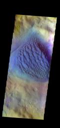 This image from NASA's Mars Odyssey shows the large sand sheet on the floor of Matara Crater. The top of the sand sheet has been sculpted by the wind, creating dune forms.