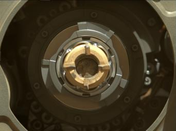 This Sept. 1, 2021 image from NASA's Perseverance rover shows a sample tube with its cored-rock contents inside.