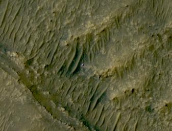 The white speck is NASA's Perseverance rover in the South Séítah area of Mars' Jezero Crater. The image was taken by the agency's Mars Reconnaissance Orbiter using its High-Resolution Imaging Science Experiment, or HiRISE, camera.