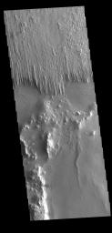 This image from NASA's Mars Odyssey shows part of Apollinaris Sulci. Yardangs are created by long term winds scouring a poor cemented surface material into linear ridges and valleys.