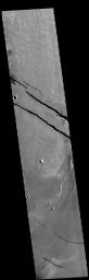 This image from NASA's Mars Odyssey shows a section of Cerberus Fossae.
