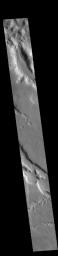 This image from NASA's Mars Odyssey shows multiple channel systems located in Terra Sabaea.