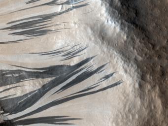 These dark streaks, also known as slope streaks, resulted from dust avalanches in an area of Mars called Acheron Fossae. The HiRISE camera aboard NASA's Mars Reconnaissance Orbiter captured them on Dec. 3, 2006.