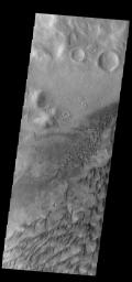 This image from NASA's Mars Odyssey shows part of the floor of Russell Crater.