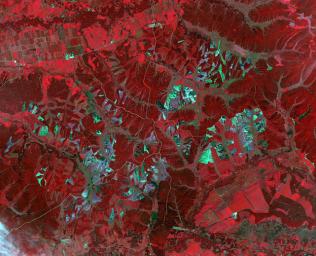 NASA's Terra spacecraft shows shade covering shelter farmed ginseng from the effects of direct sunlight in Heilongjiang province, northeast China.