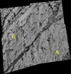 figure 1 for PIA06309