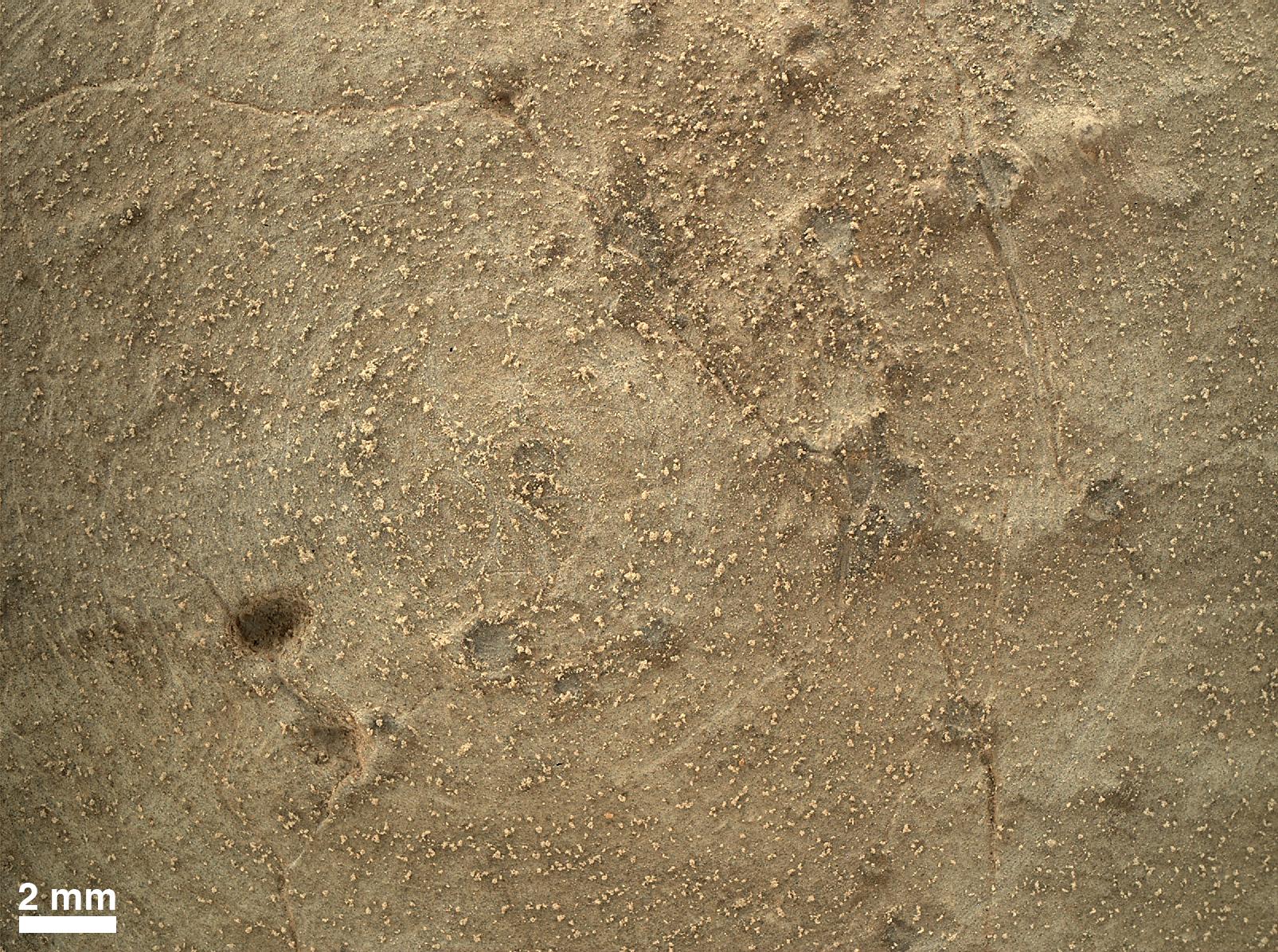 MAHLI-Nauaufnahme der gefegten Oberflaeche, Quelle: NASA/JPL-CalTech/MSSS