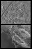 These images compare Jupiter's icy moon, Europa, to the same location on earth, the San Francisco Bay are of California, from NASA's Galileo spacecraft.