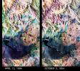 These two false-color composite images from NASA's Spaceborne Imaging Radar-C/X-band Synthetic Aperture Radar of the Mammoth Mountain area in the Sierra Nevada Mountains, Calif., show significant seasonal changes in snow cover.