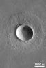 NASA's Mars Global Surveyor shows a crater on northern Elysium Planitia on Mars, a little more than twice the diameter of the famous Meteor Crater in Arizona, U.S.A. It formed by the impact and subsequent explosion of a meteorite.