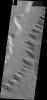 This image shows how the wind is eroding the material of Gordii Dorsum on Mars as seen by NASA's 2001 Mars Odyssey spacecraft.