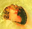 Wonderful colors in a volcanic crater named Tupan Patera on Jupiter's moon Io, as seen in this image from NASA's Galileo spacecraft, show varied results of lava interacting with sulfur-rich materials.