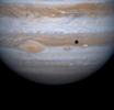 Jupiter's four largest satellites, including Io, the golden ornament in front of Jupiter in this image from NASA's Cassini spacecraft.
