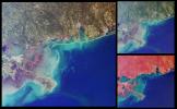 This set of images from NASA's Terra satellit highlights coastal areas of four states along the Gulf of Mexico: Louisiana, Mississippi, Alabama and part of the Florida panhandle. The images were acquired on October 15, 2001 (Terra orbit 9718). 