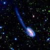 The Tadpole galaxy is the result of a recent galactic interaction in the local universe. These spectacular images were taken by NASA's Spitzer Wide-area Infrared Extragalactic (SWIRE) Legacy project.