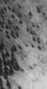 This image from NASA's Mars Global Surveyor shows a field of dark sand dunes on the northwestern floor of Brashear Crater on Mars. The dunes formed largely from winds that blew from the southeast.