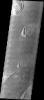 This image taken by NASA's 2001 Mars Odyssey shows platy surface texture of the vast plains southeast of the volcano Elysium Mons on Mars likely formed by very fluid cooling lava.