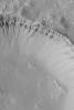 NASA's Mars Global Surveyor shows a suite of gullies in the wall of a crater on Mars. The gullies are considered to have formed by downslope transport of water-laden debris.