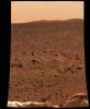 This image taken by the panoramic camera onboard NASA's Mars Exploration Rover Spirit before it rolled off the lander shows the rocky surface of Mars. The lander's deflated airbags can be seen in the foreground.
