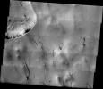 This image released on July 6, 2004 from NASA's 2001 Mars Odyssey was taken during early spring near Mars' north pole. Dust devils, small cyclonic wind storms, are common on Mars.