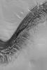 NASA's Mars Global Surveyor shows a dark, layered scarp in the martian north polar region. All of the light-toned surfaces are covered by frost left over from the previous winter.