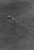 This image from NASA's Mars Global Surveyor shows dust plumes created by gusting winds on a plain southwest of Argyre Planitia.