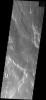 This image from NASA's Mars Odyssey spacecraft shows small, bright, linear dunes located on lava flows from Arsia Mons.