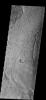 This image from NASA's Mars Odyssey spacecraft shows arcuate fractures and broken up surface called Avernus Colles [colles means small hills or knobs]. This unique surface has developed on the southeast margin of Elysium Plainitia.