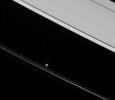 Prometheus, lit partly by direct sunlight and partly by saturnshine, pulls at material in the inner portion of the F ring. Saturnshine is reflected sunlight, often brightening the night sides of Saturn's moons in this image from NASA's Cassini spacecraft.