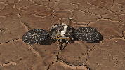This image from Sol 1 shows a mosaic of NASA's Mars Phoenix digging area in the Martian terrain. Phoenix scientists were very pleased with this view as the terrain features few rocks -- an optimal place for digging.