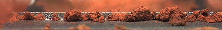 This image shows a microscopic view of fine-grained material at the tip of the Robotic Arm scoop as seen by the Robotic Arm Camera (RAC) aboard NASA's Phoenix Mars Lander on June 20, 2008, the 26th Martian day, or sol, of the mission.