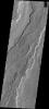 This image from NASA's Mars Odyssey shows a small portion of the extensive lava flows from Arsia Mons that make up Daedalia Planum.