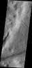 This image from NASA's Mars Odyssey shows a portion of northern Terra Sabaea, near the margin with Utopia Plainitia. Small dunes can be found within many of the depressions in this region.