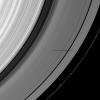The shadow of the moon Janus crosses the Encke Gap as it strikes the plane of Saturn's rings in this image taken as the planet approached its August 2009 equinox.