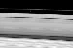 Saturn's moon Prometheus casts a shadow on the narrow F ring in this image captured by NASA's Cassini Orbiter weeks after the planet's August 2009 equinox.