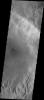 This image from NASA's Mars Odyssey shows numerous channels dissecting the inner rim of this unnamed crater in Noachis Terra. Several small, dark dunes are located in the center of the crater.