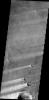 This 2001 Mars Odyssey image shows windstreaks located on the Syrtis Major Volcanic complex on Mars.