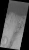 This image from NASA's Mars Odyssey shows individual dunes that are part of the large Aonia Terra dune field on Mars.