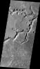 This image from NASA's Mars Odyssey shows a complex section of Nirgal Vallis on Mars.