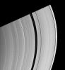 Saturn's moon Daphnis, appearing as a tiny speck in the Keeler Gap of the A ring on the far right of this NASA Cassini spacecraft image, is almost lost among the moon's attendant edge waves.