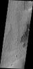 Wind is one of a handful of active processes on Mars today. This image taken by NASA's 2001 Mars Odyssey of Memnonia Sulci demonstrates the power of wind in eroding and shaping the surface.