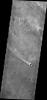 The windstreak in this image from NASA's 2001 Mars Odyssey is located on lava flows from Arsia Mons.
