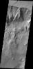 This image captured by shows NASA's 2001 Mars Odyssey the northern wall of Ganges Chasma. Dunes and a landslide deposit of visible at the bottom of the image.