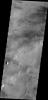 This image from NASA's Mars Odyssey shows a region of lava covered plains east of Olympus Mons. Winds are common in the area and have created windstreaks downwind of craters in the region and on the lava flows.