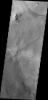 The individual dunes in this image from NASA's Mars Odyssey are moving along a hard surface in Nili Patera.