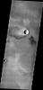 The windstreak in this image from NASA's 2001 Mars Odyssey spacecraft is located on the volcanic flows of Daedalia Planum.
