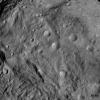 This image from NASA's Dawn spacecraft shows craters of different sizes and shapes in Vesta's southern hemisphere. The freshest craters can be classified as fresh scarp rimmed craters and the less fresh classified as partly degraded subdued rim craters.